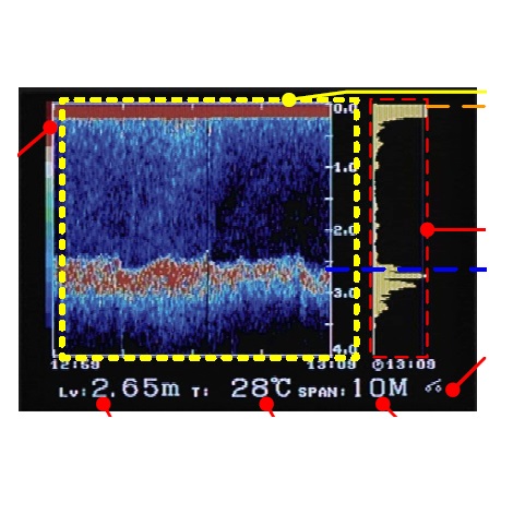 Đo mức bùn siêu âm Horiba Ultrasonic SL-200A, sludge interface meter 